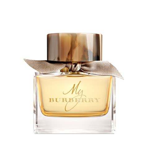 my burberry prix|my Burberry perfume best price.